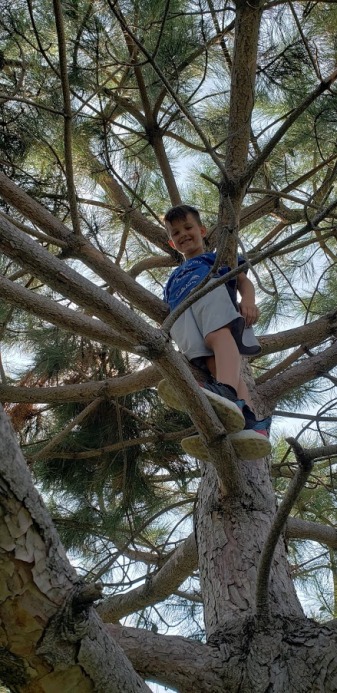 Tyler in the tree!